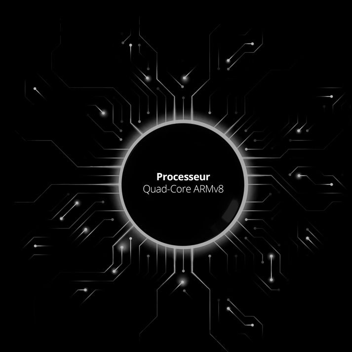 processor